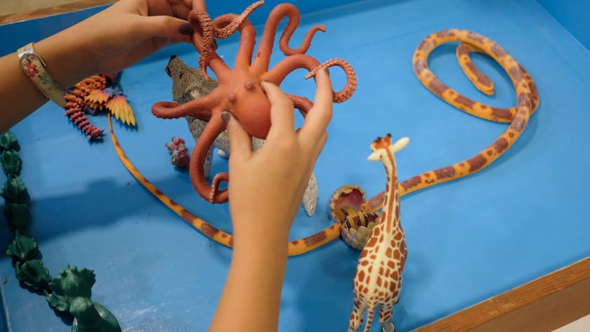 A child's hands lifting a toy octopus out of the blue sand tray, with a coiled snake, a giraffe and a small wolf set out below.
